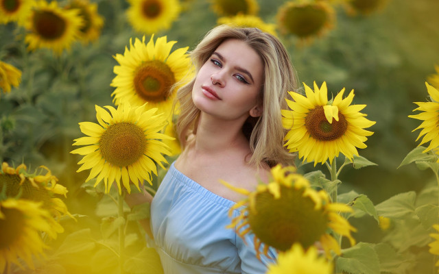 Sunflower field woman portrait blurry free wallpaper - medium preview image