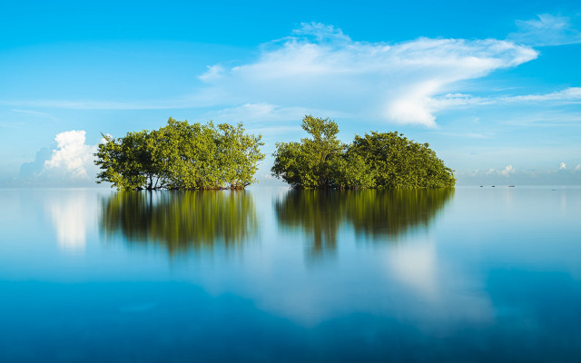 Lake trees sky clouds beach free wallpaper - medium preview image