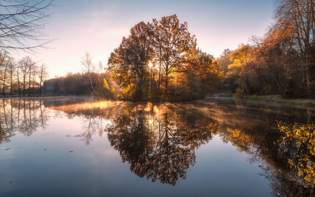 Lake reflective autumn leaves trees free wallpaper - medium preview image