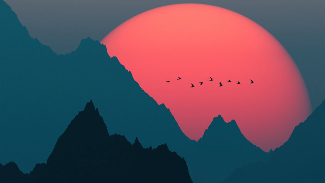 Birds mountain sunset forest moon free wallpaper - medium preview image
