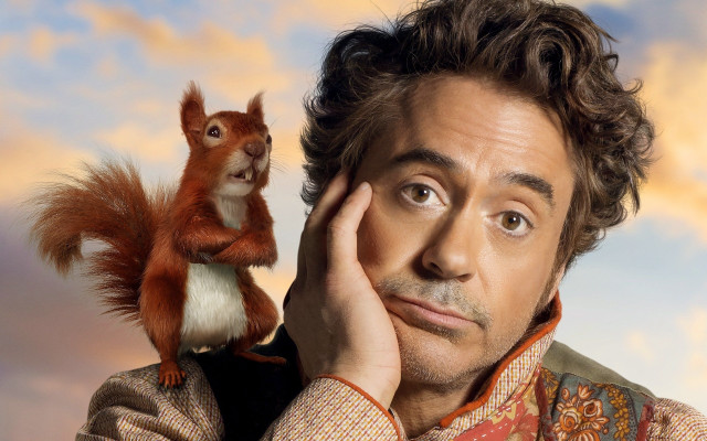Man squirrel portrait outdoors surreal free wallpaper - medium preview image