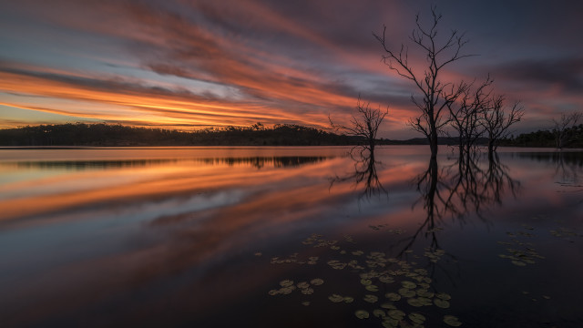 Lake trees sunset clouds leaves free wallpaper - medium preview image