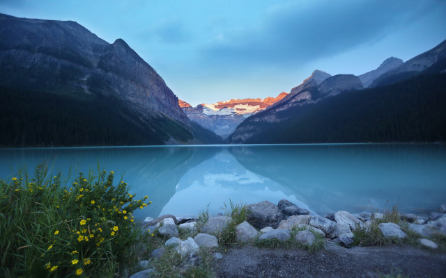 Lake mountains forest sunset flowers free wallpaper - medium preview image
