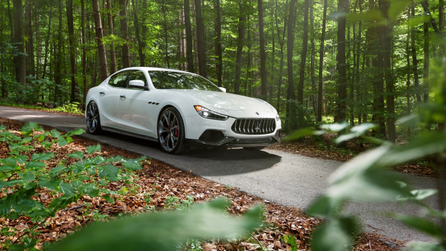 White maserah woods sunbeam urban free wallpaper - medium preview image