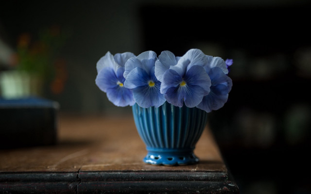Blue vase flowers table book free wallpaper - medium preview image