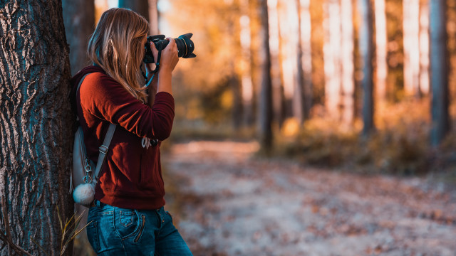 Woman taking tree portrait blurry free wallpaper - medium preview image