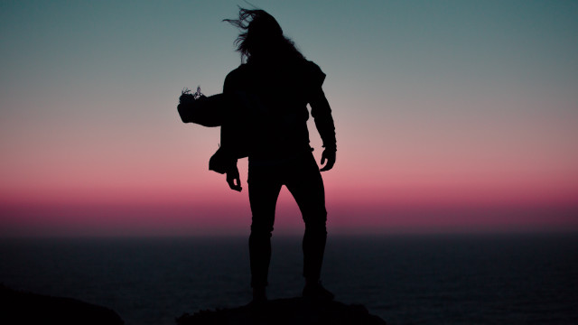 Hilltop ocean sunset bird portrait free wallpaper - medium preview image