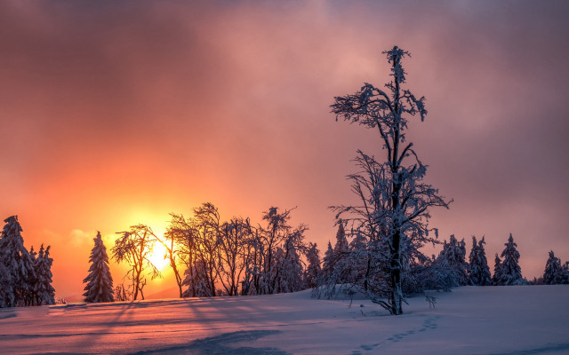 Sunset snowy field forests trail free wallpaper - medium preview image