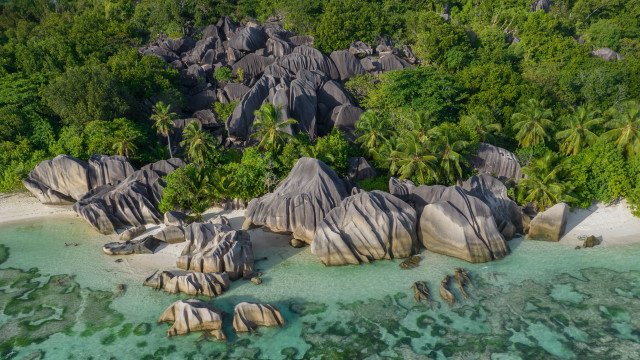 Aerial beach rocks trees water free wallpaper - medium preview image