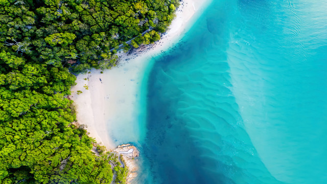 Beach forest aerial view blue free wallpaper - medium preview image
