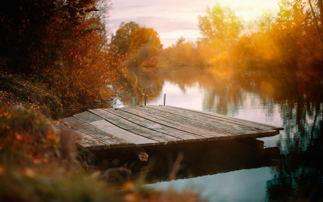 Wooden dock lake autumn leaves free wallpaper - medium preview image
