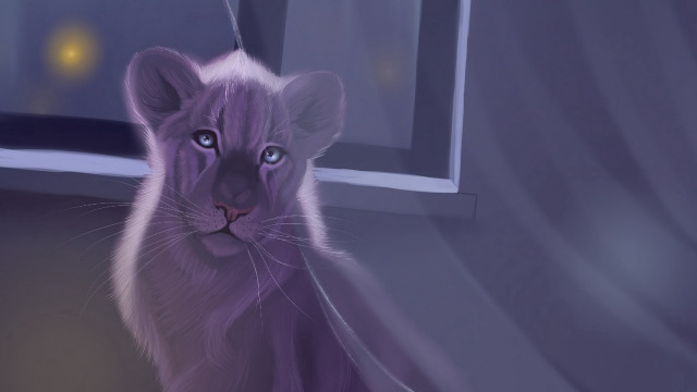 Purple tiger cub window night free wallpaper - medium preview image