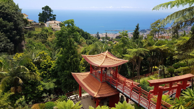Red pagoda forest ocean bridge free wallpaper - medium preview image