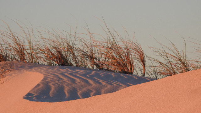 Dune grass sand dunes sky free wallpaper - medium preview image