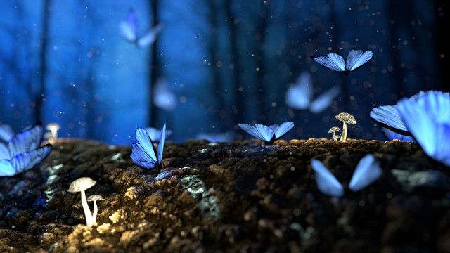 Blue butterflies forest mushrooms blue free wallpaper - medium preview image