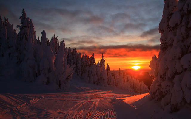 Sunset snowy road trees winter free wallpaper - medium preview image