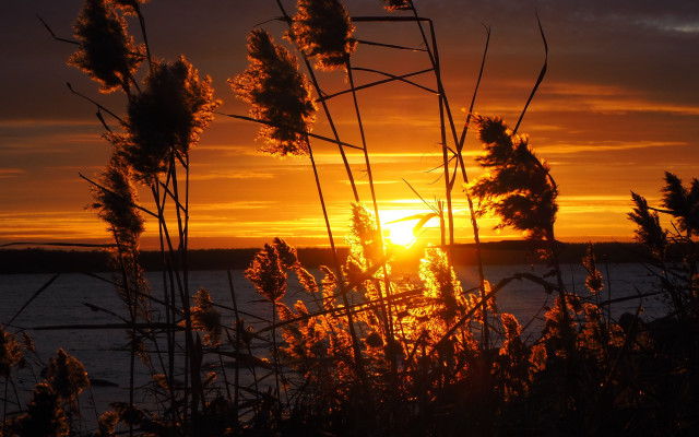 Sunset clouds plants water bridge free wallpaper - medium preview image