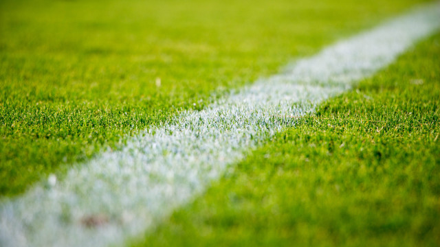 White line green grass field free wallpaper - medium preview image
