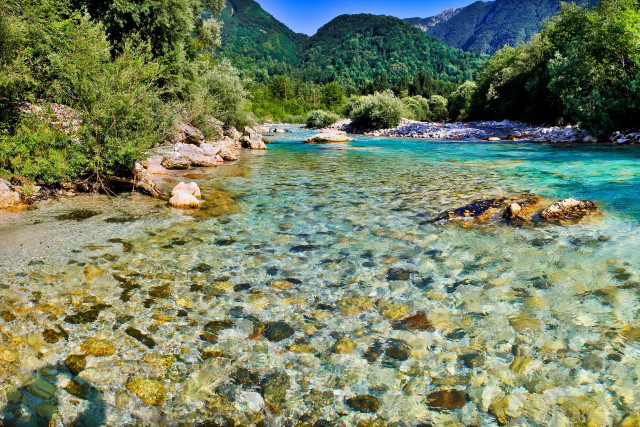 Clear blue river mountains trees free wallpaper - medium preview image