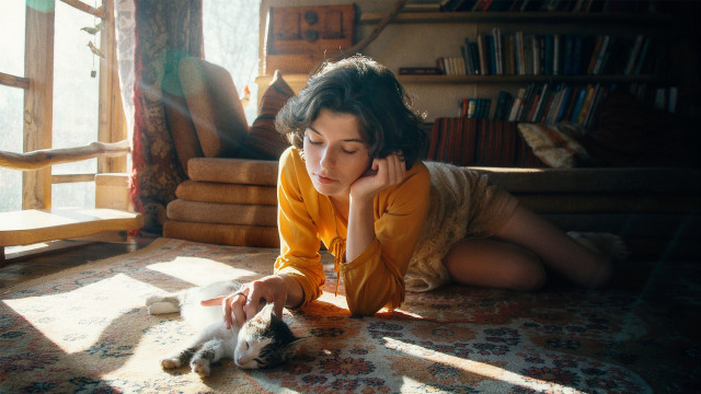 Woman cat lay floor bookcase free wallpaper - medium preview image
