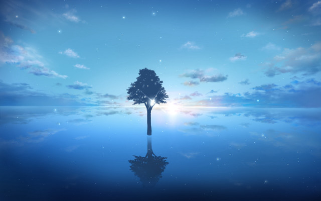 Lone tree reflection night starry free wallpaper - medium preview image