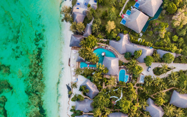 Resort beach pool aerial forest free wallpaper - medium preview image