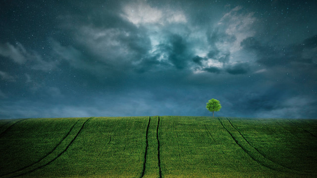Lone tree cloudy sky stars free wallpaper - medium preview image