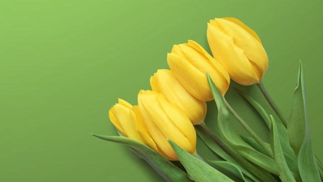 Yellow flowers green background 3d free wallpaper - medium preview image