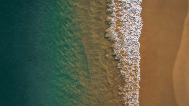 Beach wave surfboard girls ocean free wallpaper - medium preview image