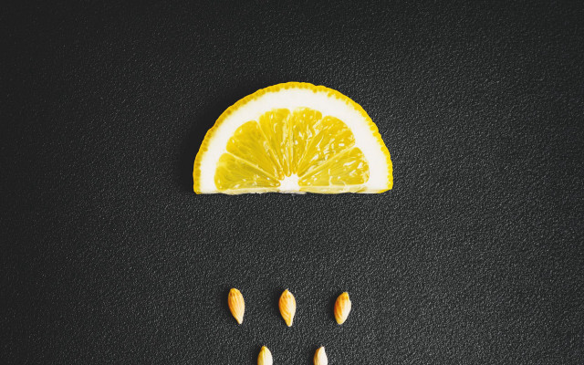 Orange slice lemon nuts black free wallpaper - medium preview image