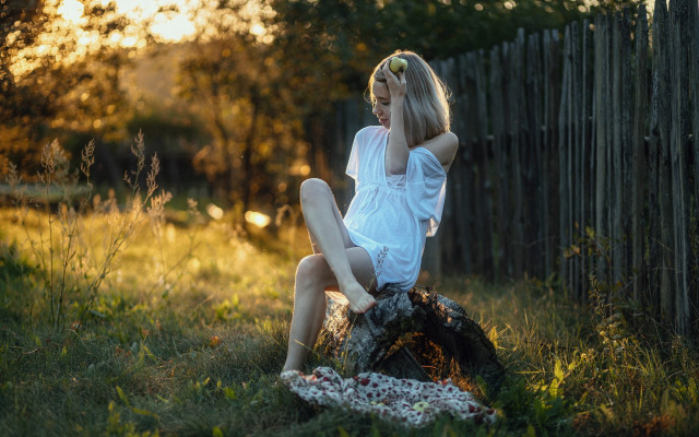 Woman sitting log autumn nature free wallpaper - medium preview image