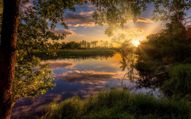 Sunset lake trees grass clouds #4 free wallpaper - medium preview image