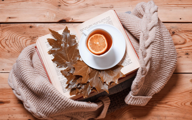 Tea book sweater leaves wooden free wallpaper - medium preview image