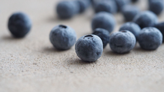 Blueberries ground macro photorealism blurry free wallpaper - medium preview image