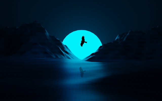 Bird mountain night blue light free wallpaper - medium preview image