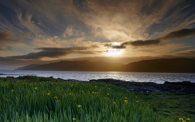 Sunset mountain water grass flowers free wallpaper - medium preview image