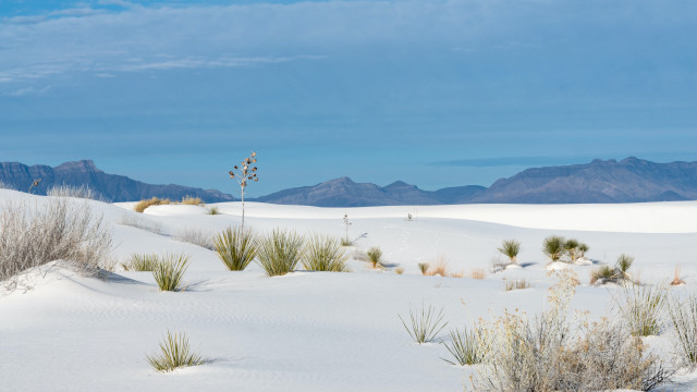 Desert mountains plants sky lake free wallpaper - medium preview image