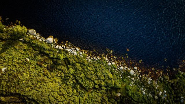 Birdseye water trees rocks grass free wallpaper - medium preview image