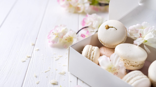 Macaroons flower petals bird rococo free wallpaper - medium preview image