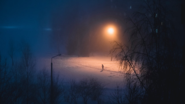 Snow night streetlight fog forest free wallpaper - medium preview image