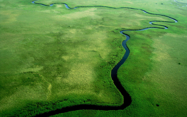 River green field forest nature free wallpaper - medium preview image