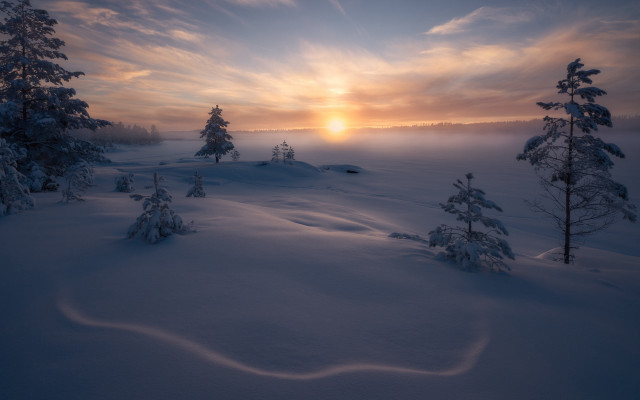 Snowy landscape trees sunset trail free wallpaper - medium preview image