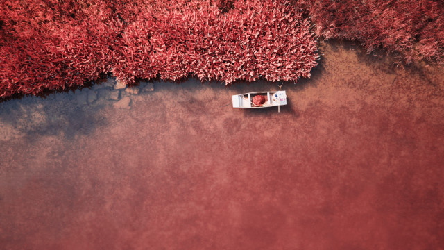 Boat water red bushes autumn free wallpaper - medium preview image