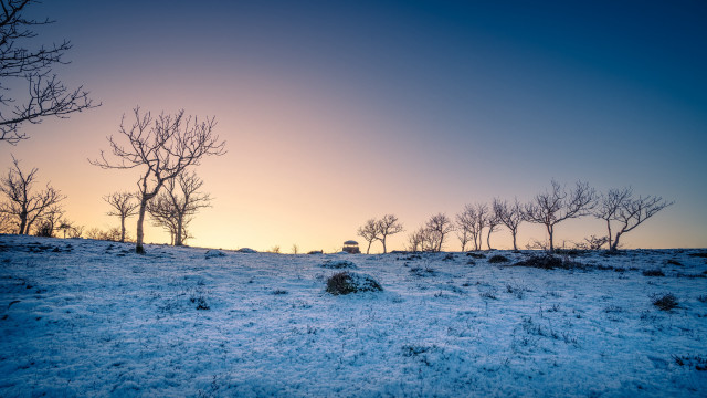 Snowy field trees sunset mountains free wallpaper - medium preview image
