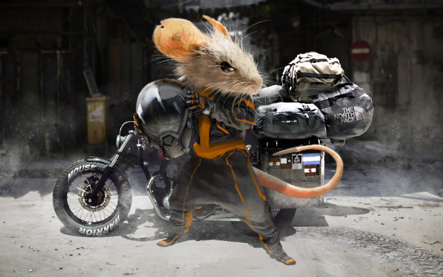 Rat motorcycle helmet furry cyberpunk free wallpaper - medium preview image