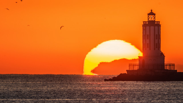 Lighthouse island ocean sunset bird free wallpaper - medium preview image