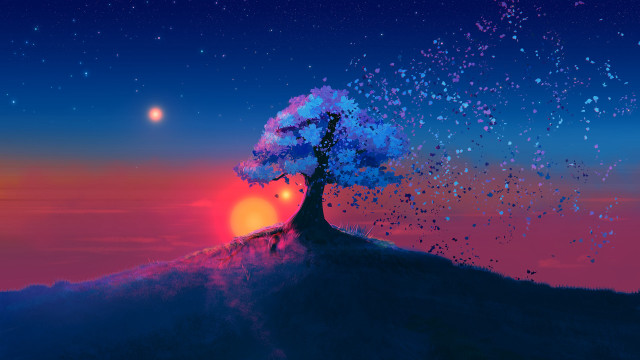 Tree hill sunset stars aurora #2 free wallpaper - medium preview image