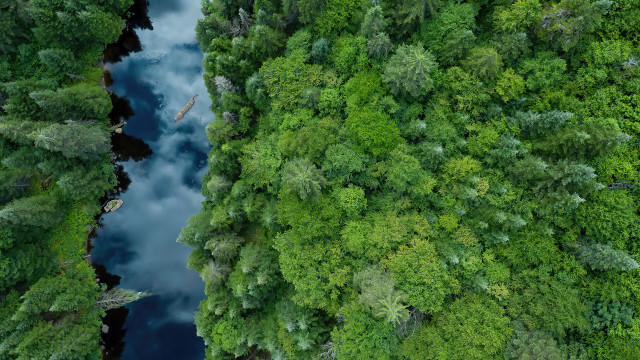 River forest trees clouds sky free wallpaper - medium preview image
