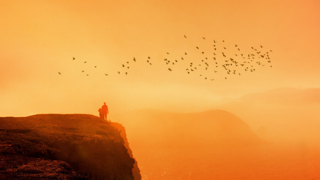 Cliff bird sunset dusk mountain free wallpaper - medium preview image
