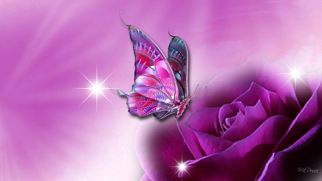 Pink rose butterfly purple background #2 free wallpaper - medium preview image